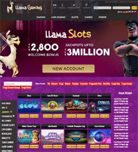 Llama Gaming Casino Screenshot