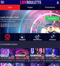 Live Roulette Casino Screenshot
