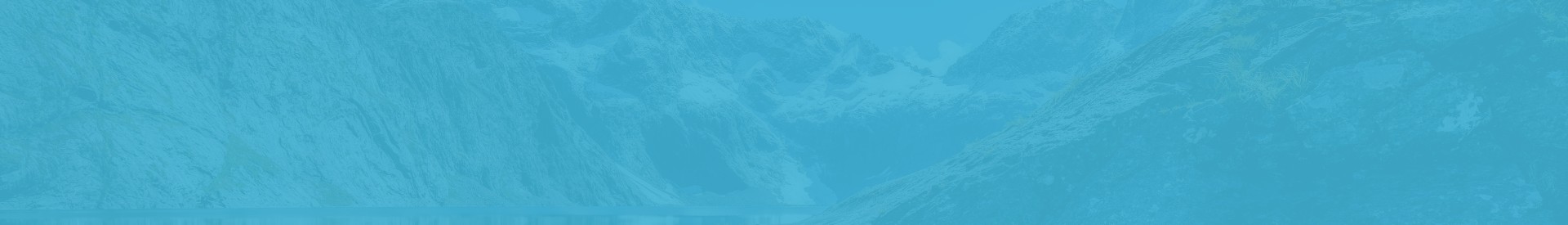 NZpageheader