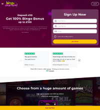 Bingo Diamond Screenshot