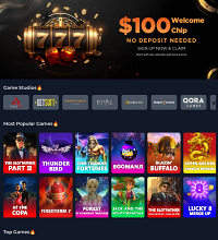 BitSpin365 Casino Screenshot