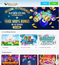 CyberBingo Casino Screenshot