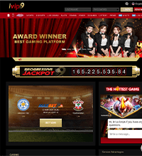 IVIP9 Casino Screenshot