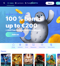Norppa Casino Screenshot