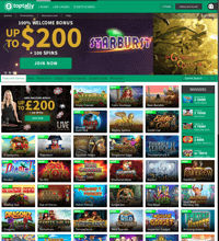 Toptally Casino Screenshot