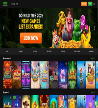Wild Casino Screenshot