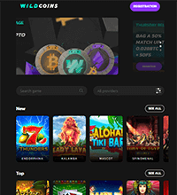 Wildcoins Casino Screenshot